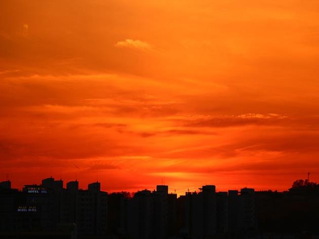 건강연금보험료 완납증명서 조회 및 발급방법사업장 및 법인